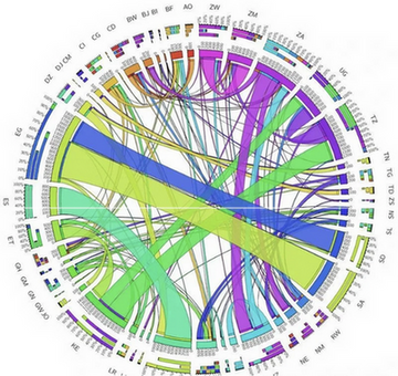 Chord Diagram example